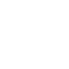 Usługi - czarter
